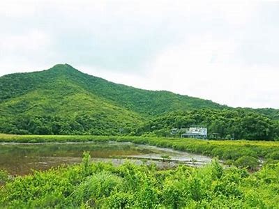 缁村瘑铚滄鍠烽浘：探索高效利用新技术的未来方向