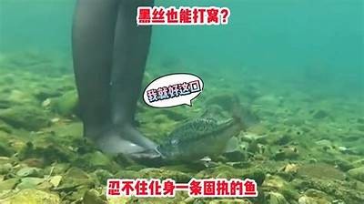 国产钓鱼搞笑视频合集：让你笑到钓鱼忘烦恼！