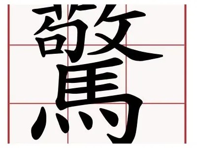 铚滄q濡硅棰?铚滄瑙嗛鎾斁鍣的详解与运用研究