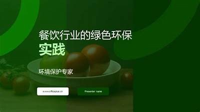创新环保烧烤机视频展示：绿色健康轻松烧烤新选择