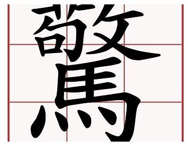 濂界湅瑙嗛姘磋湝妗冭棰?YJIZZ铚滄瑙嗛全解析与运用推广